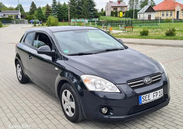 Kia Pro_cee'd cena 17900 przebieg: 170000, rok produkcji 2008 z Biała Podlaska małe 137
